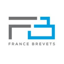 IP Licensing & Monetisation client - France Brevets