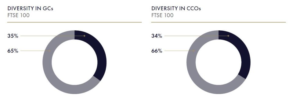 UK FTSE 100 Diversity Inclusion Legal Compliance